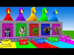 Long Slide Game With Elephant Gorilla Buffalo Hippopotamus Tiger - 3d Animal Game - Funny 3d Animals