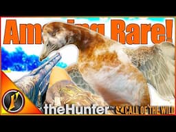 Revontuli Coast PRODUCES with an Amazing Rare + 2 Diamonds! | Call of the Wild