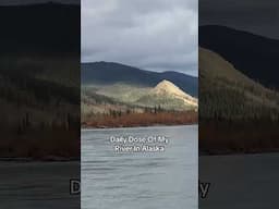 Daily Dose Of My River In Alaska #enigmaticgwichin #motivation #alaska #shorts #boat