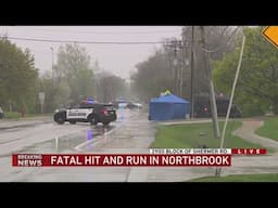 Man killed in hit-and-run in Northbrook