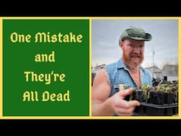 My Transplanting DISASTER! - Watch This So It Doesn't Happen To YOU!