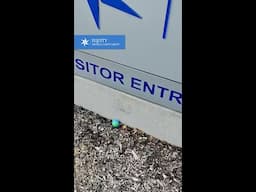 Join Our Egg Hunt at Equity Trust