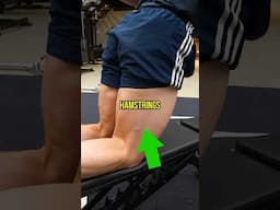 Best Hamstrings Exercise
