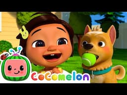 Furry Friends | CoComelon - Cody's Playtime | Songs for Kids & Nursery Rhymes