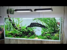 Aquascaper 1500, African Themed Congo Aquascape Tutorial, Step by Step Build