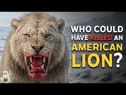 6 Animals That Could Have Defeated an American Lion