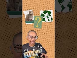 What Does Kitty Litter Have to do with the Environmental Movement?