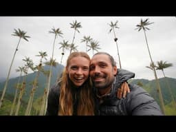 We Explored Colombia’s Coffee Triangle In 48 Hours (tallest palm trees in the world)