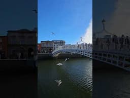 Beautiful Day in Dublin 💚