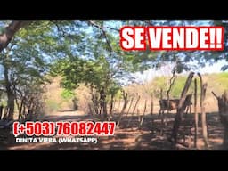 106 MANZANAS EN TACACHICO TIENE RÍO Y ÁRBOLES FRUTALES CERCA DE CALLE A SANTA ANA