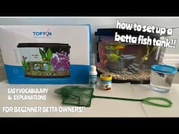 HOW TO SET UP A BETTA FISH TANK - PROPERLY!! (for beginners!!)