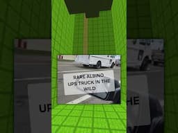 The Funniest Memes
