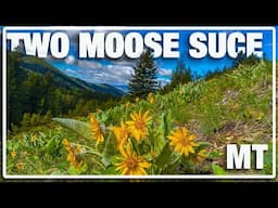 Sunny Montana Treadmill Walk: Suce Creek Nature Escape (See a MOOSE!)