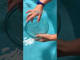 Day in the Life: Caring for Jellyfish at Georgia Aquarium