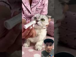 Take care you cat! My Reaction to This Amazing Clip!