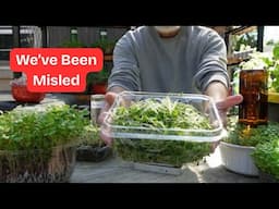 The Misleading Claims About Microgreens