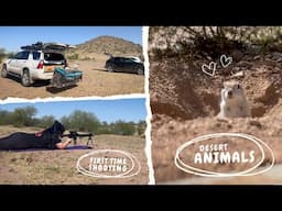 Our Favorite Desert Animals, Shooting in the Desert for the First Time, Visiting San Xavier Mission