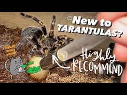 I DID IT AGAIN ~ Bought my FIRST EVER TARANTULA SPECIES !!!