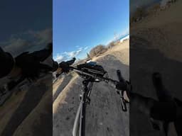 Drop Bars On The Dirt Track #biking #gravel