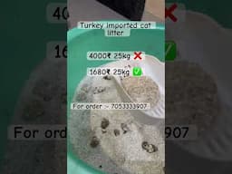 Premium quality cat litter Delhi #catlitterwholesale #allindiadelivery