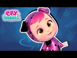 We Have to Save the Fantasy World ⭐ CRY BABIES 💧 Magic Tears | Cartoons for Kids