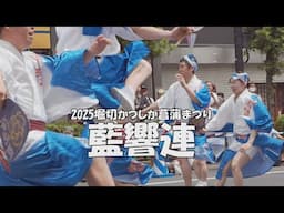 跳んで跳ねての組踊り「藍響連」が堀切で舞う！2025堀切かつしか菖蒲まつり【Awa Odori in Tokyo／Aikyoren Performance】（2025.6.8）