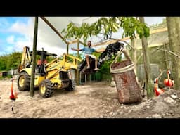 LANDSCAPING The New Aviary? WHAT DID WE GET? PT.4