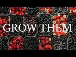 Every Gardener Should Learn How To Grow (BERRIES) and The (1) Secret Fruit