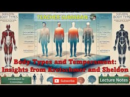Body Types and Temperament: Insights from Kretschmer and Sheldon