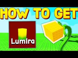 How to Get DANDELION + SHOWCASE in Grow a Garden! ROBLOX