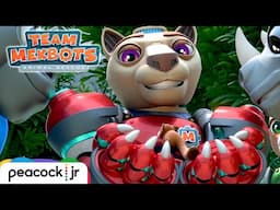 The Search is ON! 🔎 Red Panda Rescue Mission | TEAM MEKBOTS ANIMAL RESCUE
