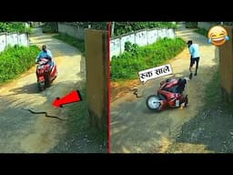 स्कुटी वाले को सांप का पता नहीं था अचानक किया हमला 🤣😂ll Wild animal encounters cought on camera