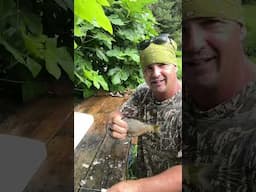 Scaling bream with the queen fish knife #fishing #breamfishing #crappie #crappiefishing #swamp