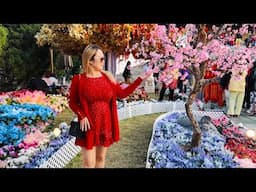 Lunar New Year Celebration at Hsi Lai Buddhist Temple | Cali Que Em