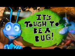 It's Tough to be a Bug FAREWELL Full 3D Show [4K] Animal Kingdom Walt Disney World