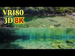 [ 8K 3D VR180 ] 透明度抜群の清流「阿寺渓谷」 A crystal clear mountain stream at Atera Valley in Nagano