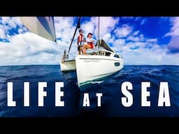 Real Ocean Catamaran Sailing | A Day in the Life – Sailing Florence Ep.203