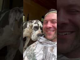 When you give one dog lovings, you have to give all the dogs lovings ❤️ #shorts