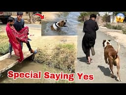 Special Saying Yes Vlog😱 Revenge Time😎