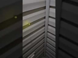 This is so cool!