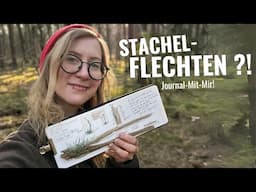 Nature Journaling im Wald: Zeichne mit mir Stachelflechten