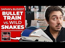Japan’s Busiest Bullet Train Route Halted By Snake | @AbroadinJapan #167