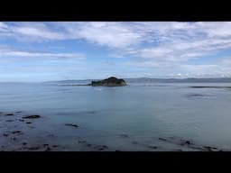 Gathering Shellfish Gisborne New Zealand