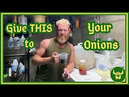 5 Tips to Boost Your Onions for Longer Storage and Better Flavors!