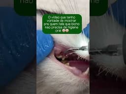 Precisa sim ou claro??