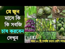 মে জুন মাসে কি কি সবজি চাষ করবেন দেখুন - মাত্র ১০ টি সবজি চাষে বেশি লাভ - গ্রীষ্মকালীন সবজি চাষ