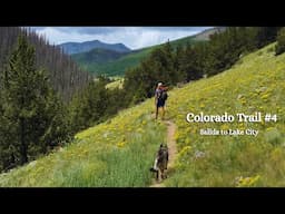 Colorado Trail Thru-Hike 2024 #4: Salida to Lake City