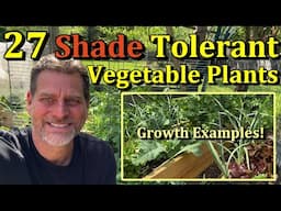 27 Shade Tolerant Vegetable Crops to Grow in Partial Shade Gardens (Tomato & Pepper Growing Tips)