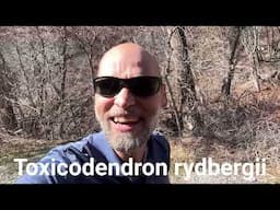 Wild Plant Identification at Battle Creek Falls