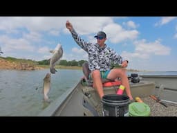 Catfish Chaos! NON STOP Jug Fishing Action in Shallow Water